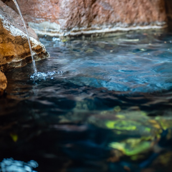 The blessing of natural hot springs