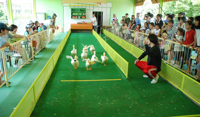 別府ラクテンチ